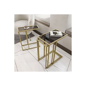 Marsah Home Rozy Zi̇gon Sehpa, Gold