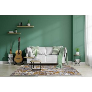 Ai̇da Home Fi̇ona Salon Halisi, 120x180