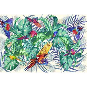 Ai̇da Home Penha Salon Halisi, 80x150