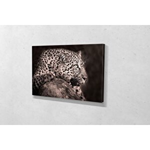 Tablo360 Leopar Kanvas Tablo 80x120