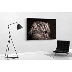 Tablo360 Leopar Kanvas Tablo 70x105