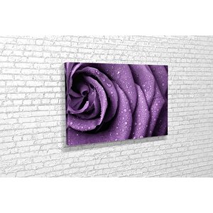 Tablo360 Gül Kanvas Tablo 70x105