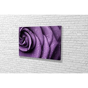 Tablo360 Gül Kanvas Tablo 70x105