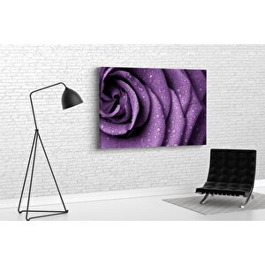 Tablo360 Gül Kanvas Tablo 70x105