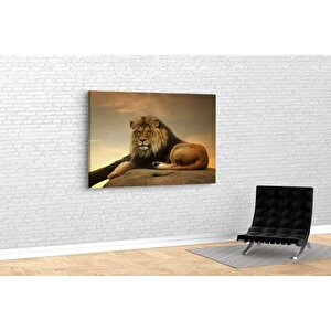 Tablo360 Aslan Kanvas Tablo, 70x105