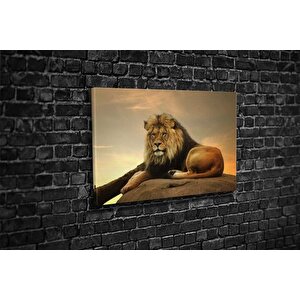 Tablo360 Aslan Kanvas Tablo, 70x105