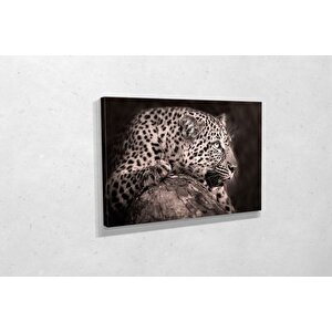 Tablo360 Leopar Kanvas Tablo 60x90