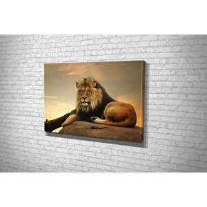 Tablo360 Aslan Kanvas Tablo 80x120