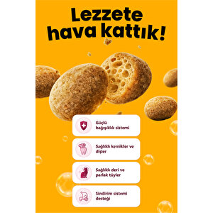 Crunchy Bubbles Kısırlaştırılmış Tavuklu Yetişkin Kedi Maması 10 Kg