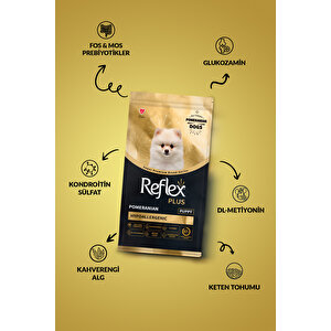 Plus Pomeranian Yavru Köpek Maması 8 Kg