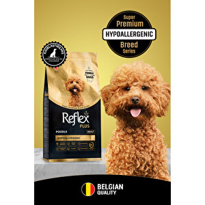 Plus Poodle Yetişkin Köpek Maması 8 Kg