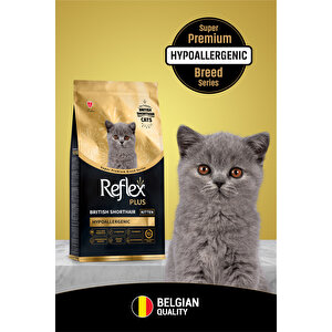 Plus British Shorthair Yavru Kedi Maması 8 Kg