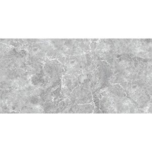 600x1200 Dione Gri Tam Parlak Rek. K:8 - 1 Kutu 2.16 M2