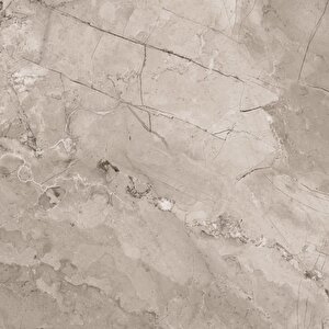450x450 Baltimore Parlak Taupe K:8 - 1 Kutu 1.42 M2