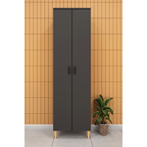 Modern 2 Kapaklı Çok Amaçlı Mutfak Banyo Dolabı %100 Mdf Erzak Kiler Dolabı Fd03 Antrasit
