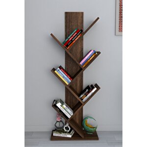 Tree Dekoratif Kitaplık Ceviz Ceviz