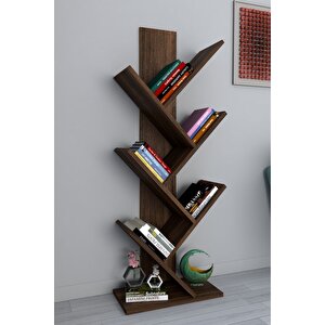 Tree Dekoratif Kitaplık Ceviz Ceviz