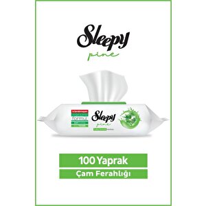 Pine Yüzey Temizlik Havlusu&mendili Çam Ferahlığı 100 Yaprak