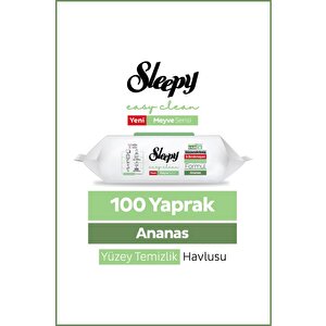Meyve Serisi Yüzey Temizlik Havlusu Mendili Ananas 100 Yaprak