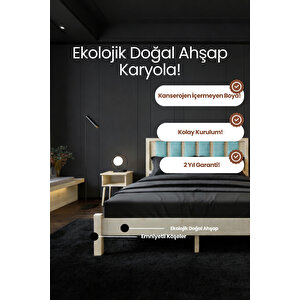 Orion Camgöbeği Puflu Başlık Masif Ahşap Karyola - Vernikli 90x200 cm
