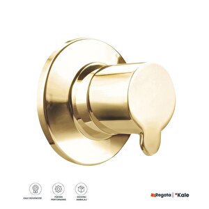 D100 Altın Ankastre 90° Stop Valf