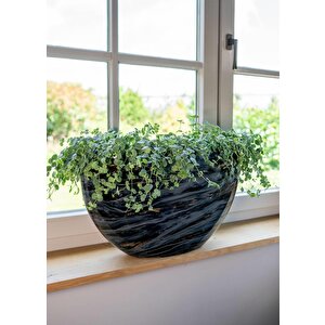 Saksı Niene Oval Siyah  En 55 Boy 25 Y20 Cm