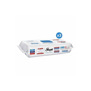 Easy Clean Çamaşır Suyu Katkılı Mopa Uyumlu Yer Temizlik Havlusu&mendili 3x50 (150 Yaprak)