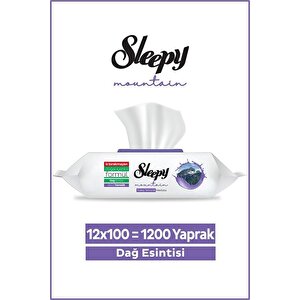 Mountain Yüzey Temizlik Havlusu&mendili Dağ Esintisi 12x100 (1200 Yaprak)