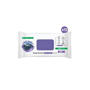 Mountain Yüzey Temizlik Havlusu&mendili Dağ Esintisi 12x100 (1200 Yaprak)