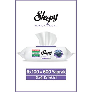 Mountain Yüzey Temizlik Havlusu&mendili Dağ Esintisi 6x100 (600 Yaprak)