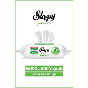 Pine Yüzey Temizlik Havlusu&mendili Çam Ferahlığı 6x100 (600 Yaprak)