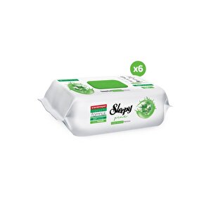 Pine Yüzey Temizlik Havlusu&mendili Çam Ferahlığı 6x100 (600 Yaprak)