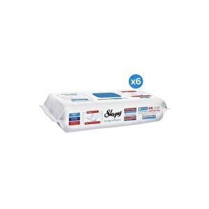 Easy Clean Çamaşır Suyu Katkılı Mopa Uyumlu Yer Temizlik Havlusu&mendili 6x50 (300 Yaprak)