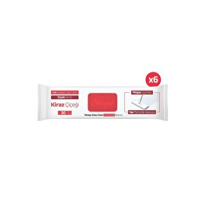 Easy Clean Kiraz Çiçeği Mopa Uyumlu Yer Temizlik Havlusu&mendili 6x20 (120 Yaprak)