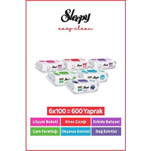 Easy Clean Yüzey Temizlik Havlusu Mendili Doğa & Çiçek Serisi 6x100 Karma Paket
