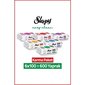Easy Clean Premium + Çiçek Serisi Yüzey Temizlik Havlusu Mendili 6x100 Karma Paket