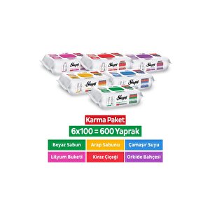 Easy Clean Premium + Çiçek Serisi Yüzey Temizlik Havlusu Mendili 6x100 Karma Paket