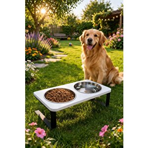 Kedi Köpek İçin %10 Eğimli Yerden Yüksek İkili Mama Kabı Su Kabı Standı Paslanmaz Çelik Hazneli