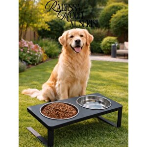 Büyük Ve Orta Boy Köpekler Için %10 Eğimli Mama Kabı Çift Hazneli Su Ve Mama Kabı Standı