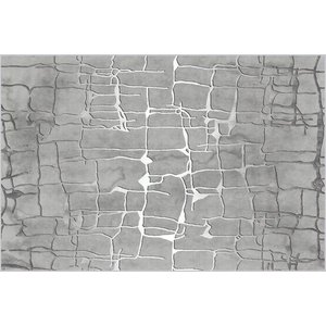 Di̇ji̇tal Baski Yikanabi̇li̇r Hali, Rvg0694 100x150 Cm