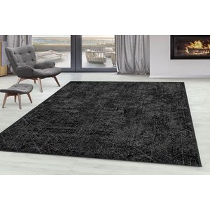 Di̇ji̇tal Baski Yikanabi̇li̇r Hali, Rvg0113-sd1185 80x300 Cm