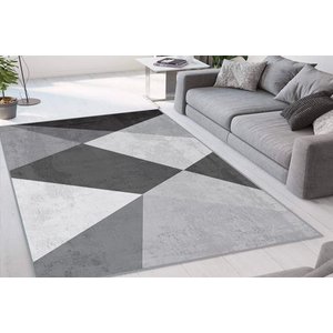 Di̇ji̇tal Baski Yikanabi̇li̇r Hali, Rvg1061 120x180 Cm
