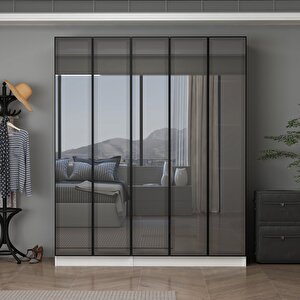 Ali̇n 210cm 5 Kapakli İç 2 Çekmeceli̇ Reflect Cam Kapakli Dolap Beyaz