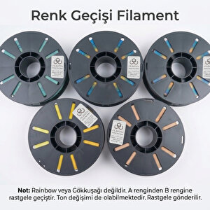 Renk Geçişi Petg Filament 1.75mm 1kg 330 cm