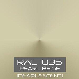 Pamukkale 1402 Rapid Hızlı Kuruyan Metal Boyası Parlak 0.75 Kg Ral 1035 İnci Beji
