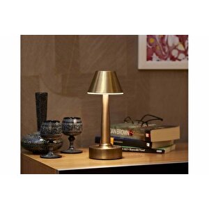 Avonni Led Masa Lambasi, Metal, Eski̇tme Kaplama, 64006-e