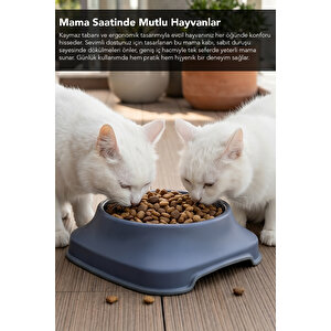 1 Lt Kaymaz Taban Kedi Köpek Mama Kabı - Xl Mega Boy Evcil Hayvan Su Kabı Mama Kasesi Lacivert