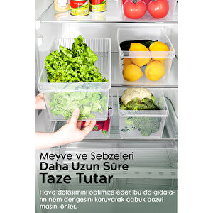 5 Adet Dolap İçi Buzdolabı Düzenleyici - Buzdolabı Meyve Sebze Saklama Kabı Organizer Sepet 8 Litre