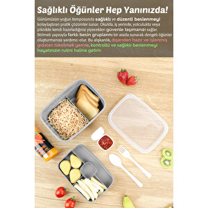 2 Katlı Bölmeli Beslenme Kabı - Yemek Taşıma Saklama Kabı Diyet Lunch Box Sosluk Kaşık Çatal Gri