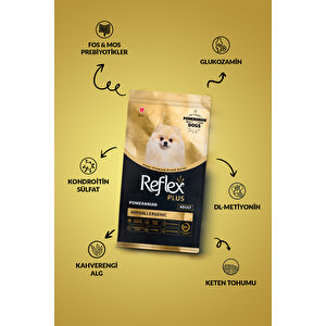 Plus Pomeranian Yetişkin Köpek Mamasi 2 Kg